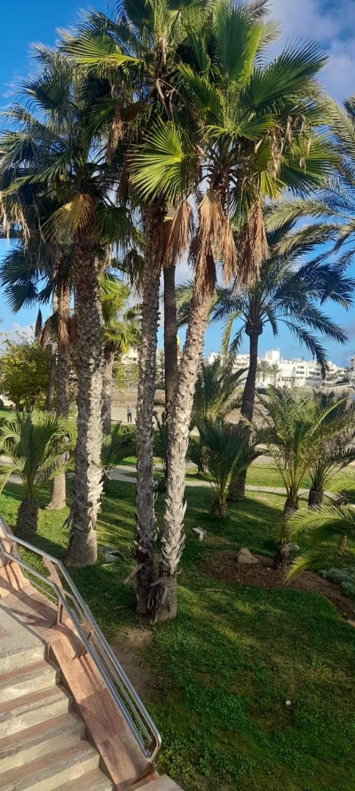 Apartamento Pepita Alay Benalmádena Exteriér fotografie